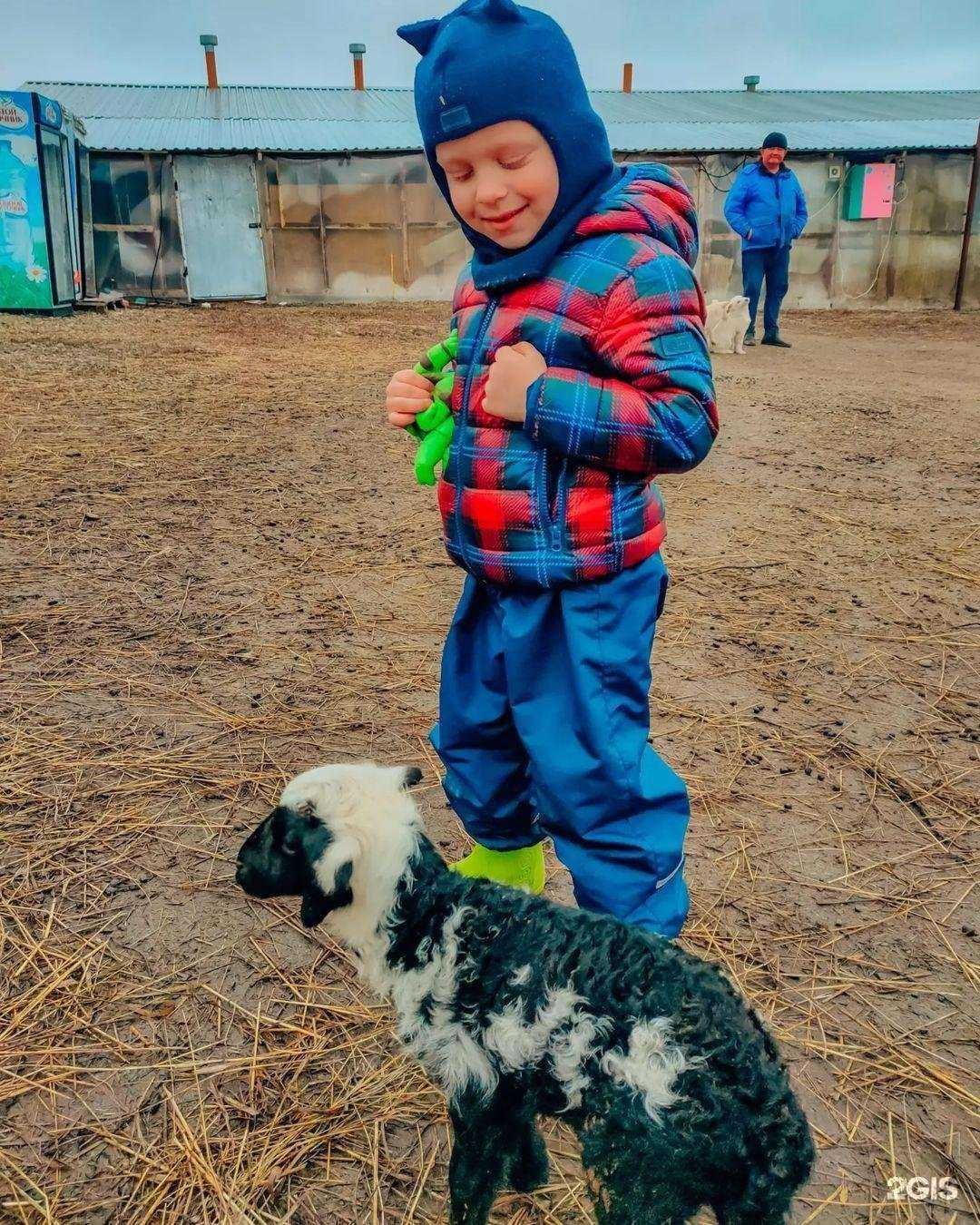 Отзывы на компанию Ферма Паксяевых в Пензе c фото