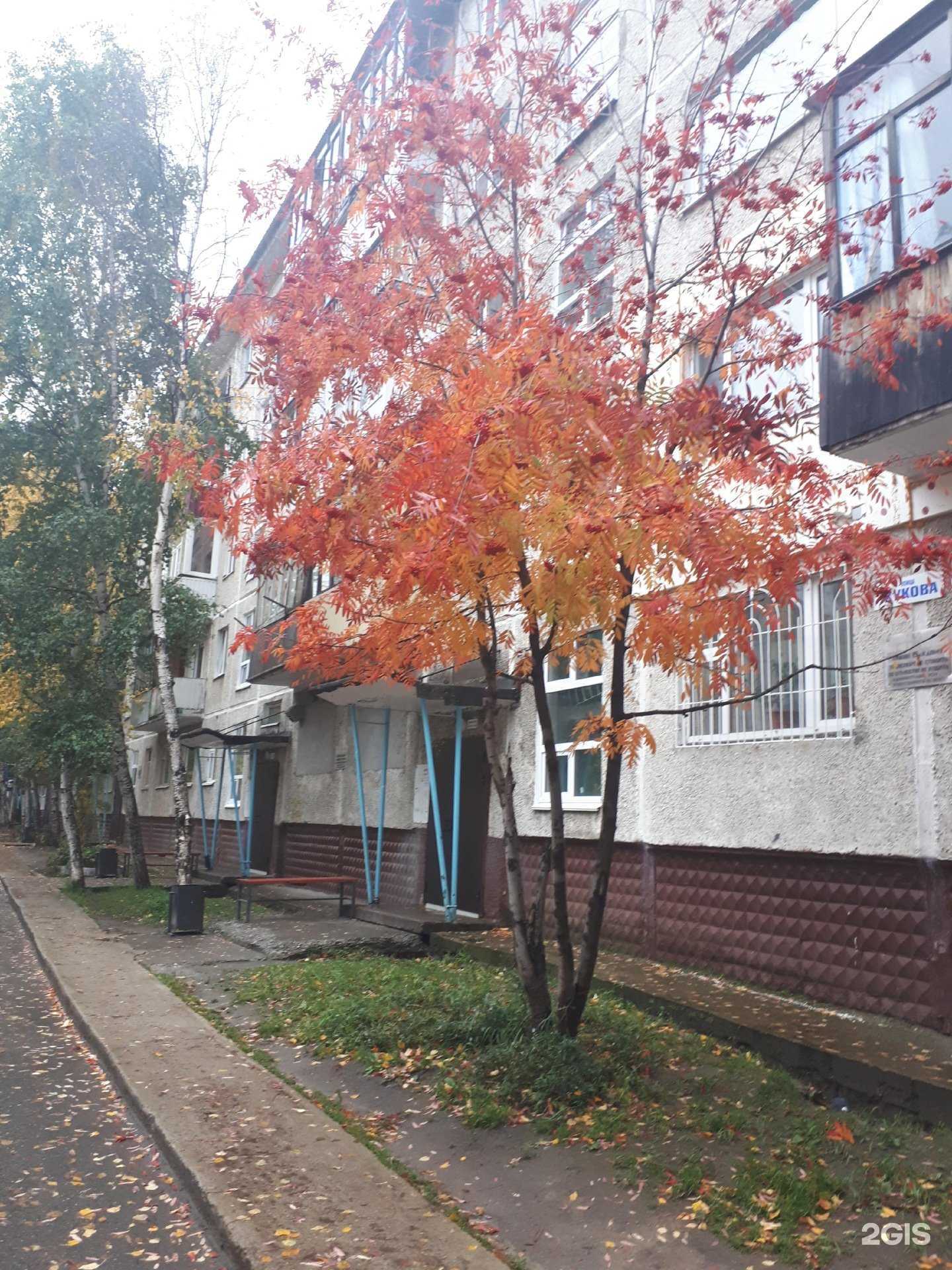 Отзывы на компанию Умид Стиль в Нижневартовске c фото - фотография 2 из 2