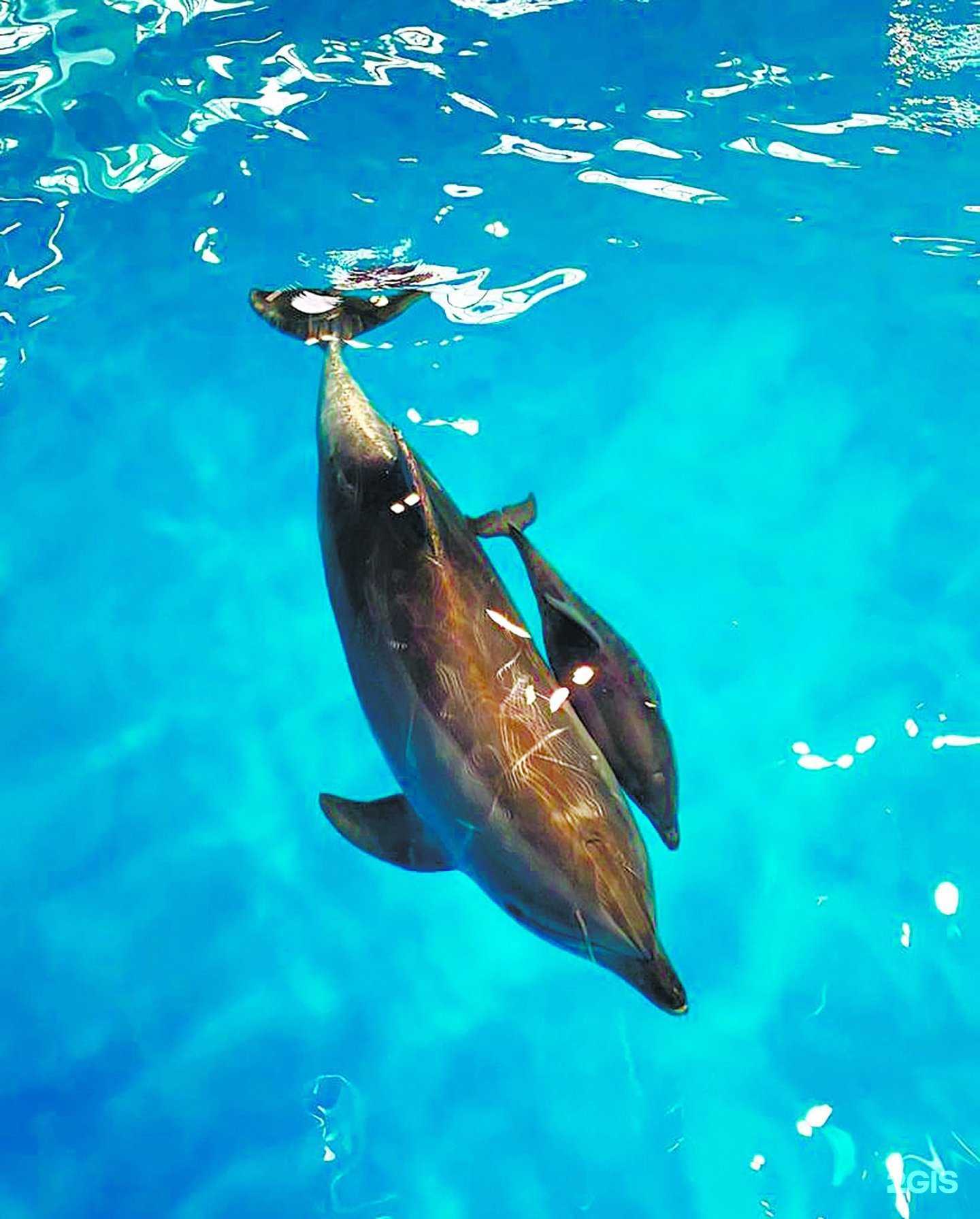 Отзывы на компанию Океан в Владивостоке c фото