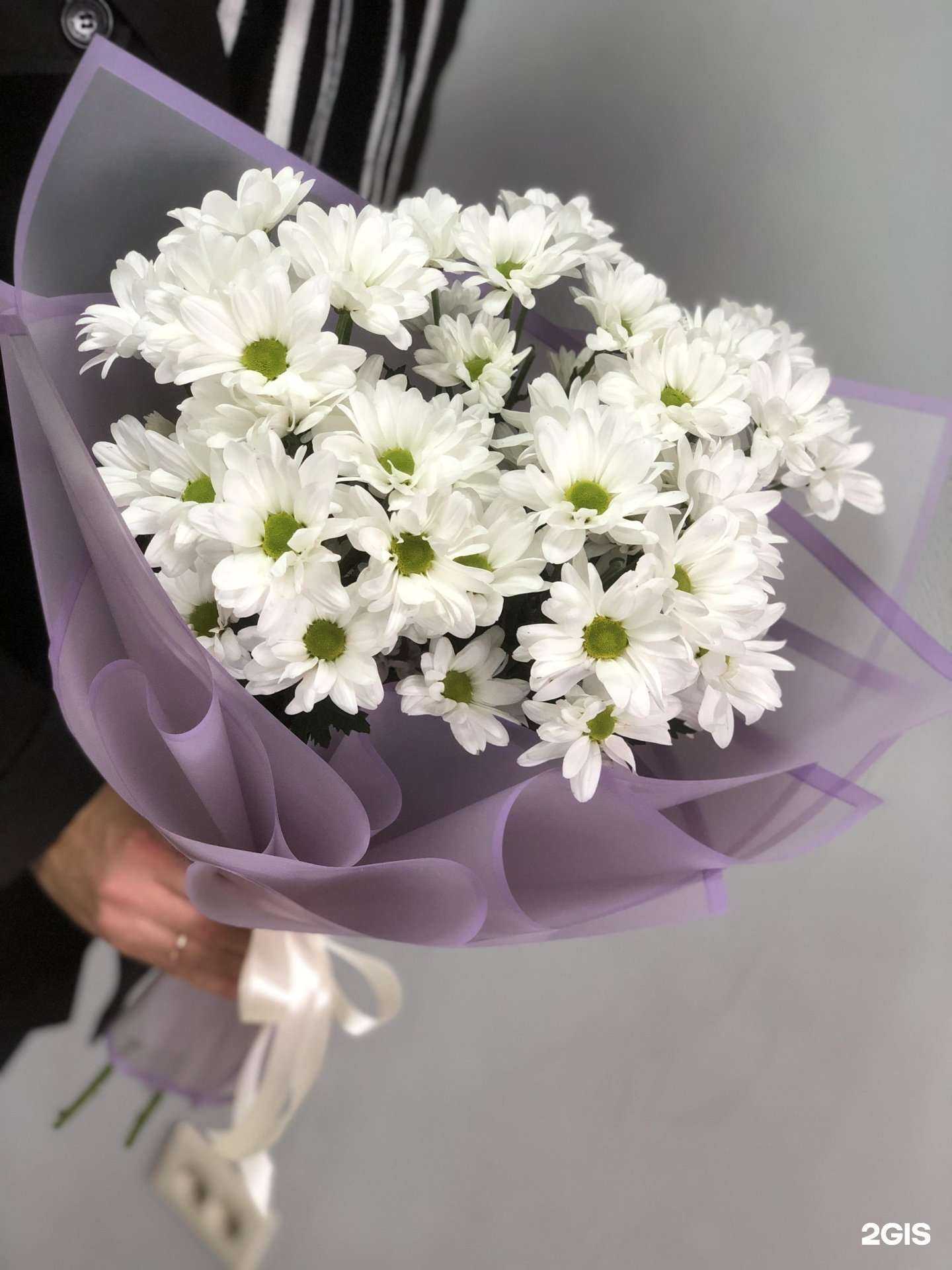 Отзывы на компанию Moon Flower в Астрахани c фото