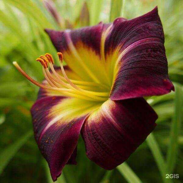 Отзывы на компанию Всё для сада в Воронеже c фото