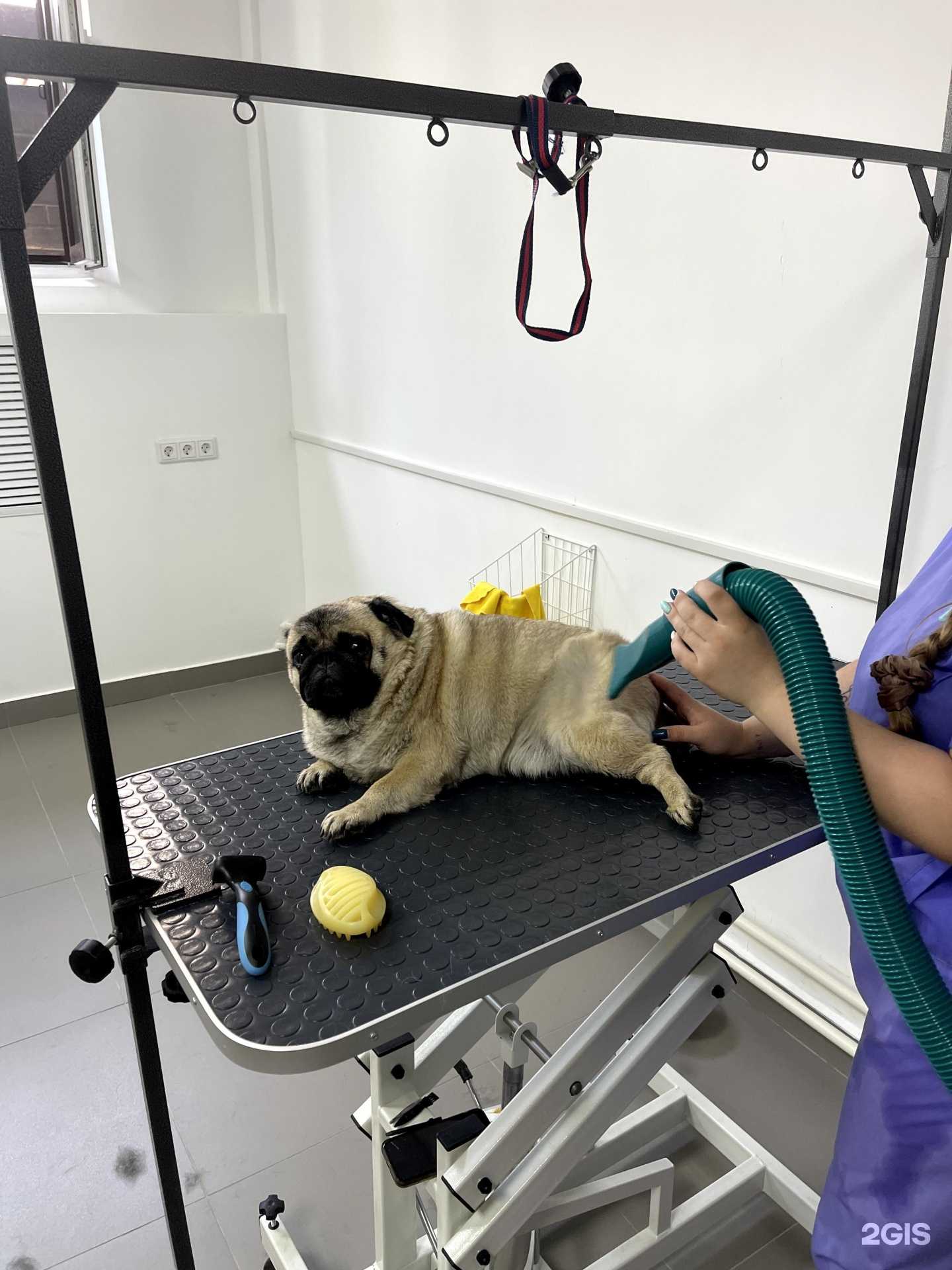 Отзывы на компанию Чистые булки в Кирове c фото