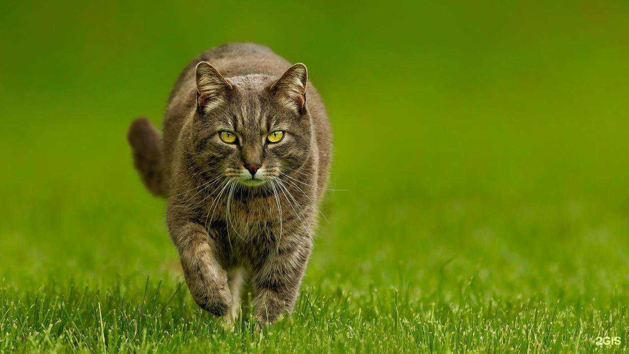 Отзывы на компанию Компания по оформлению купли-продажи автомобилей и автострахованию в г. Орёл c фото