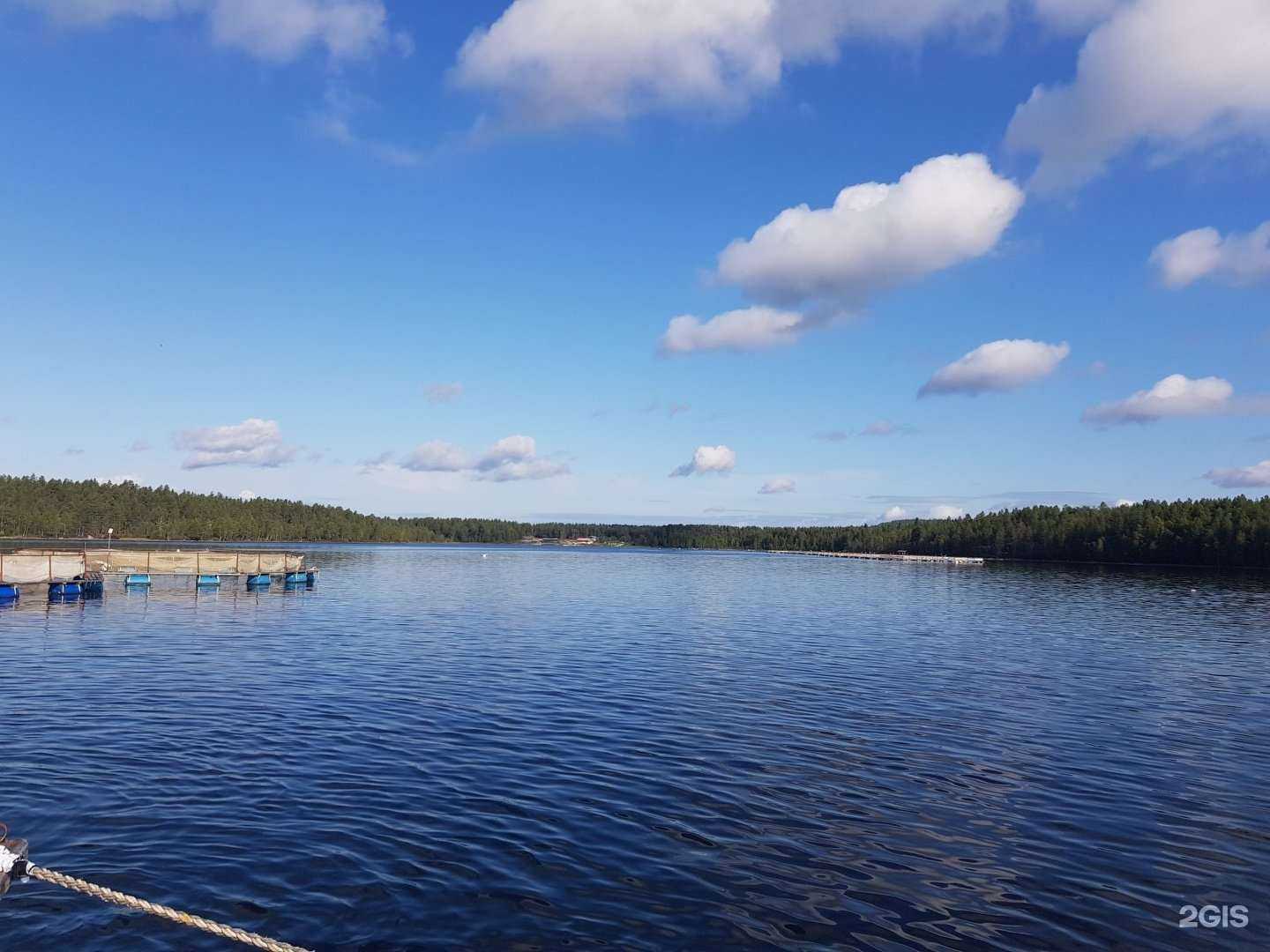 Отзывы на компанию Аквафор в Петрозаводске c фото