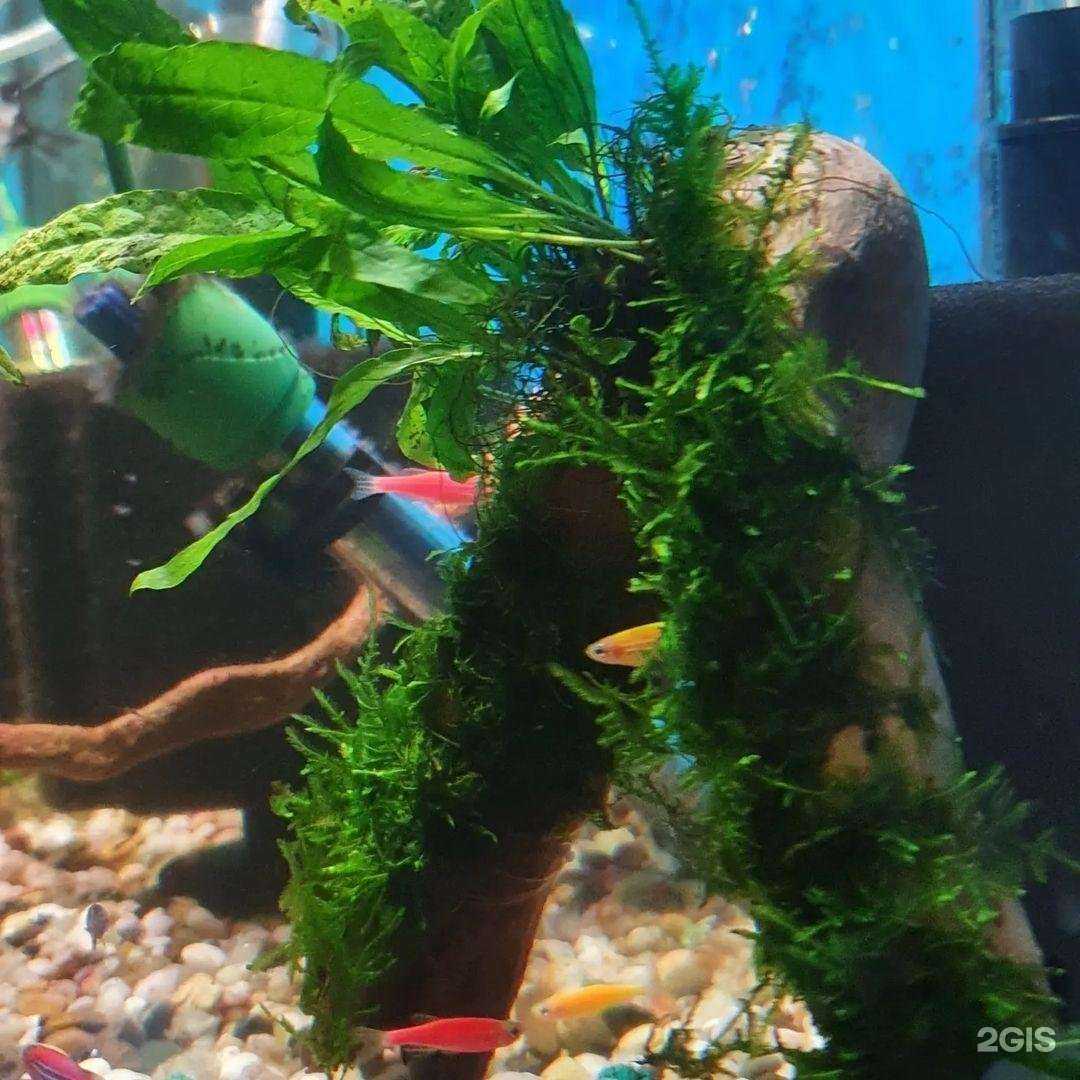 Отзывы на компанию Копилка природы в г. Ейск c фото