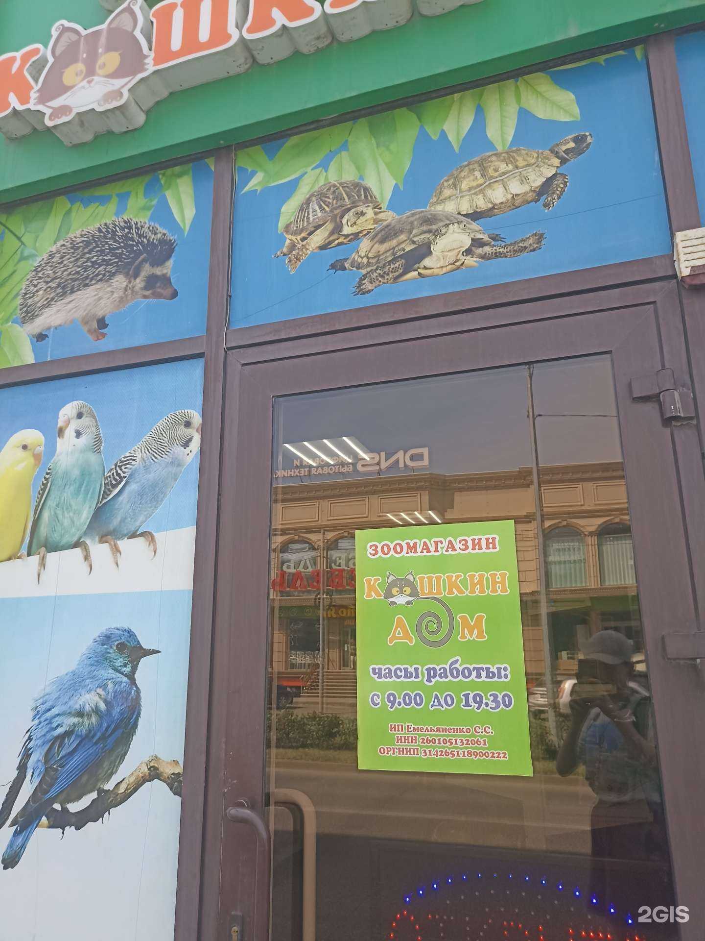 Отзывы на компанию Кошкин дом в г. Минеральные Воды c фото