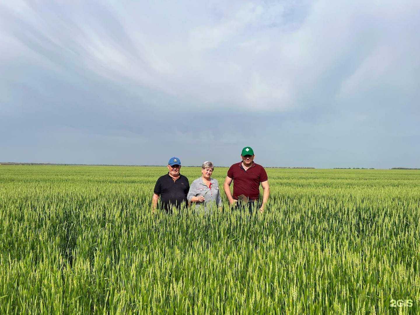 Отзывы на компанию Волгоградский в г. Волгоград c фото