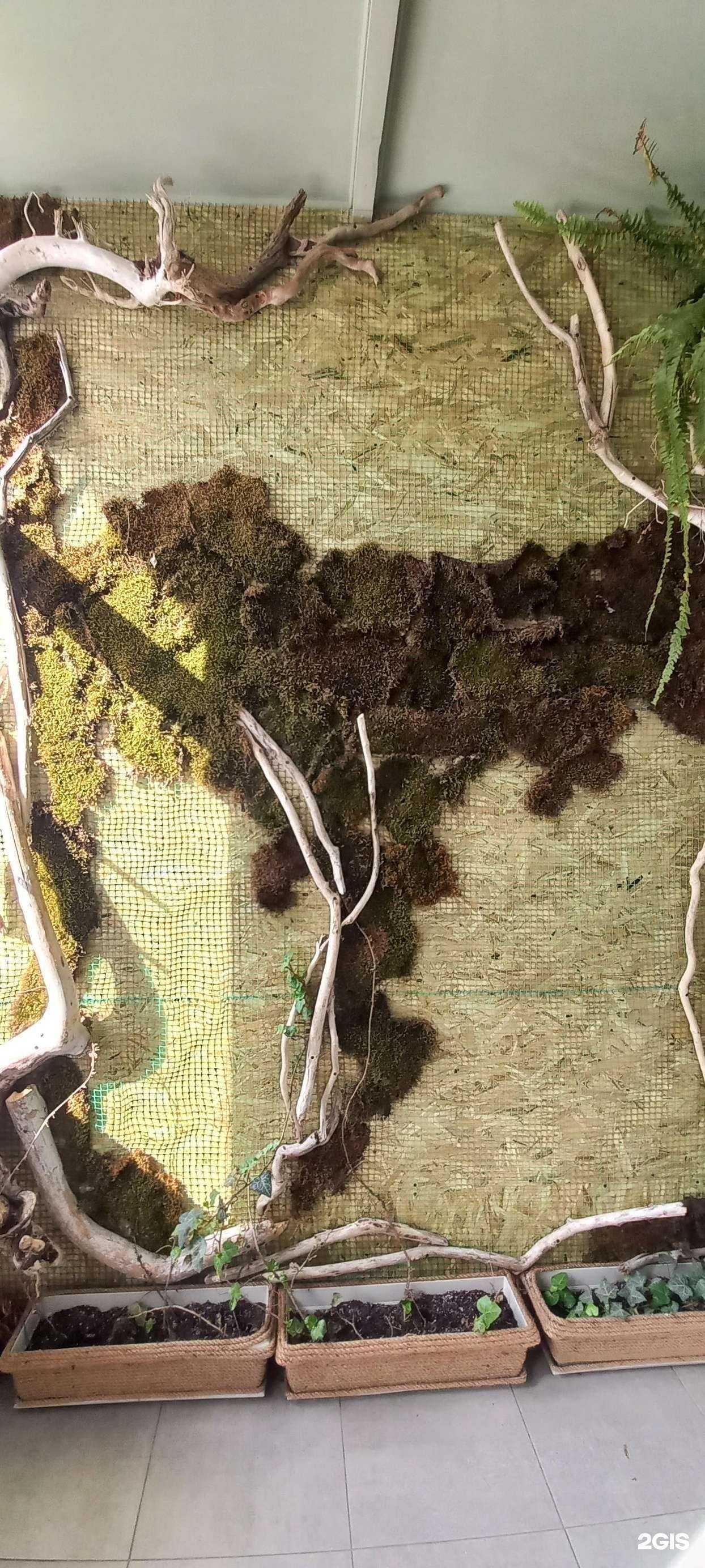 Отзывы на компанию Среда в г. Краснодар c фото