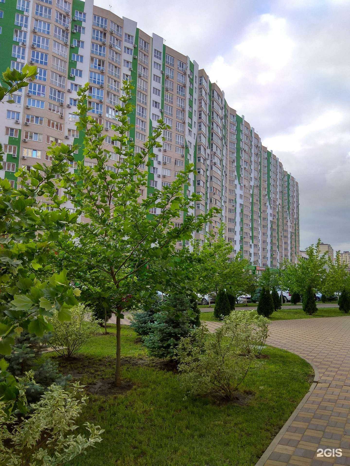 Отзывы на компанию IQ007 в Краснодаре c фото - фотография 2 из 2