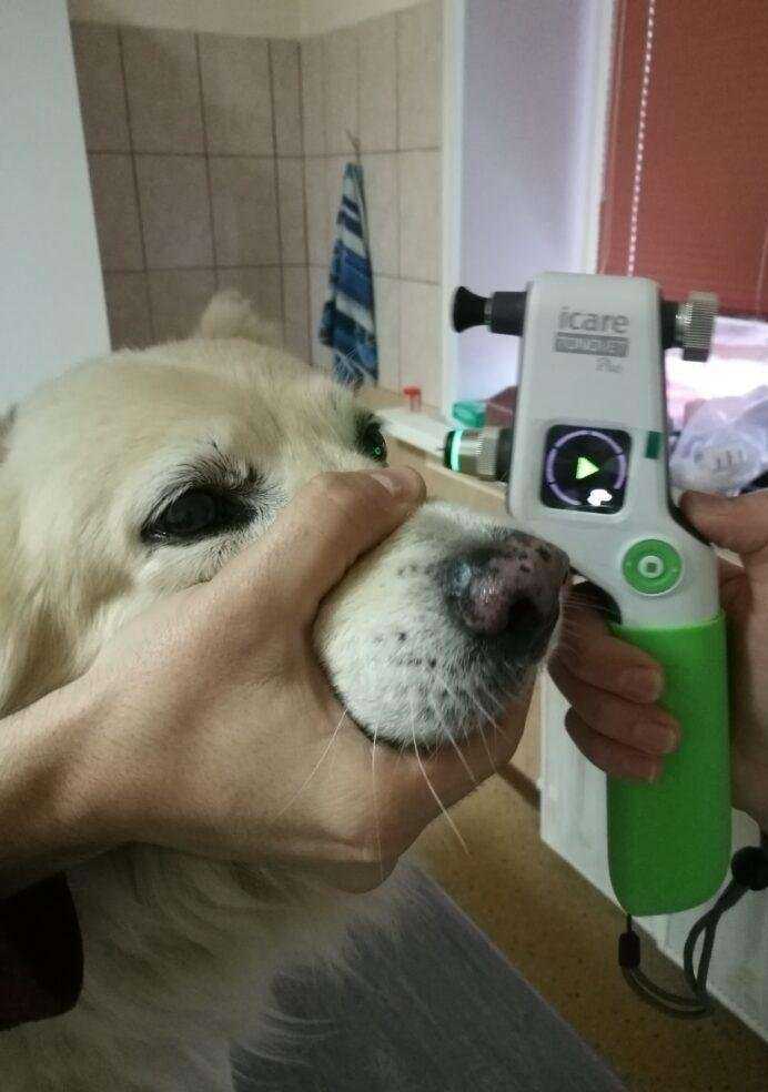 Отзывы на компанию Зооветсервис в г. Великий Новгород c фото