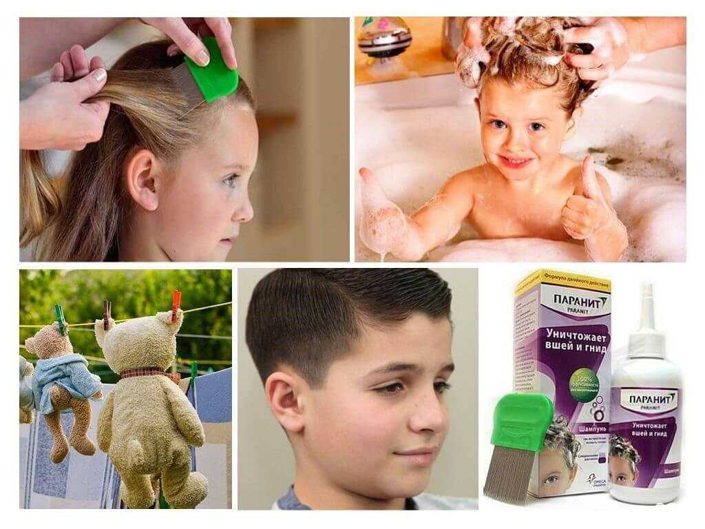 Отзывы на компанию Детский сад №27 в г. Мурманск c фото