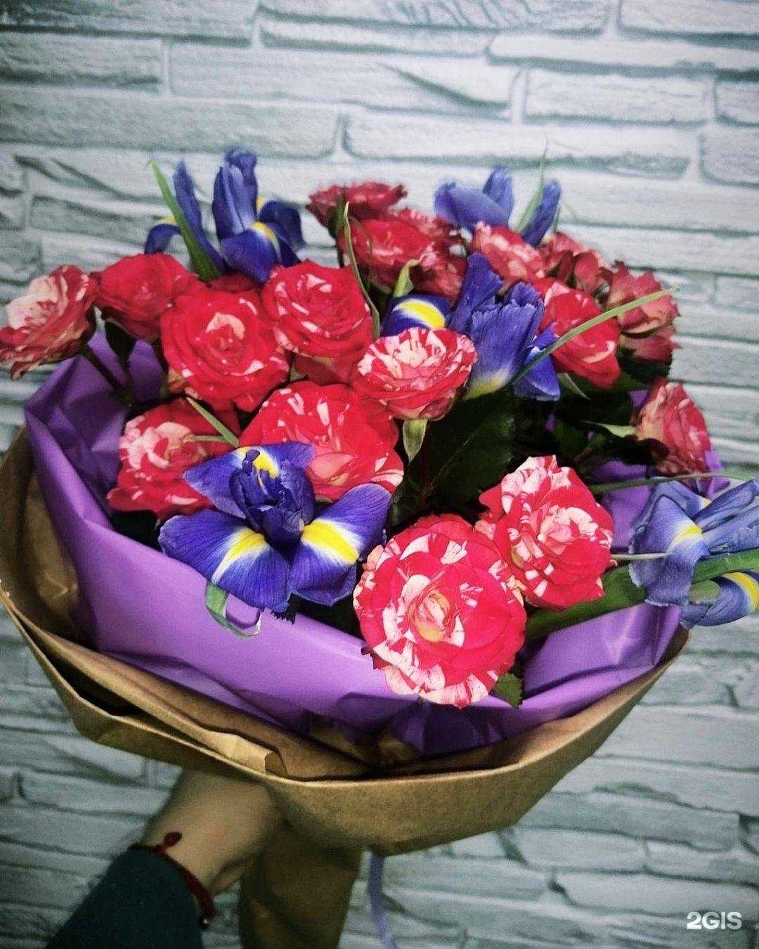 Отзывы на компанию Эвкалипт в Балакове c фото