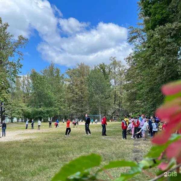 Отзывы на компанию Ассоциация организаций отдыха детей Тамбовской области в Тамбове c фото