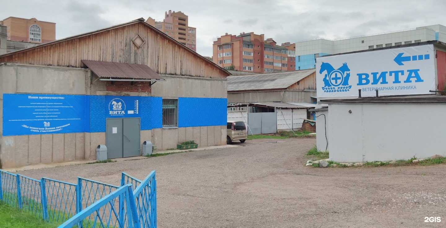 Отзывы на компанию Вита в Красноярске c фото