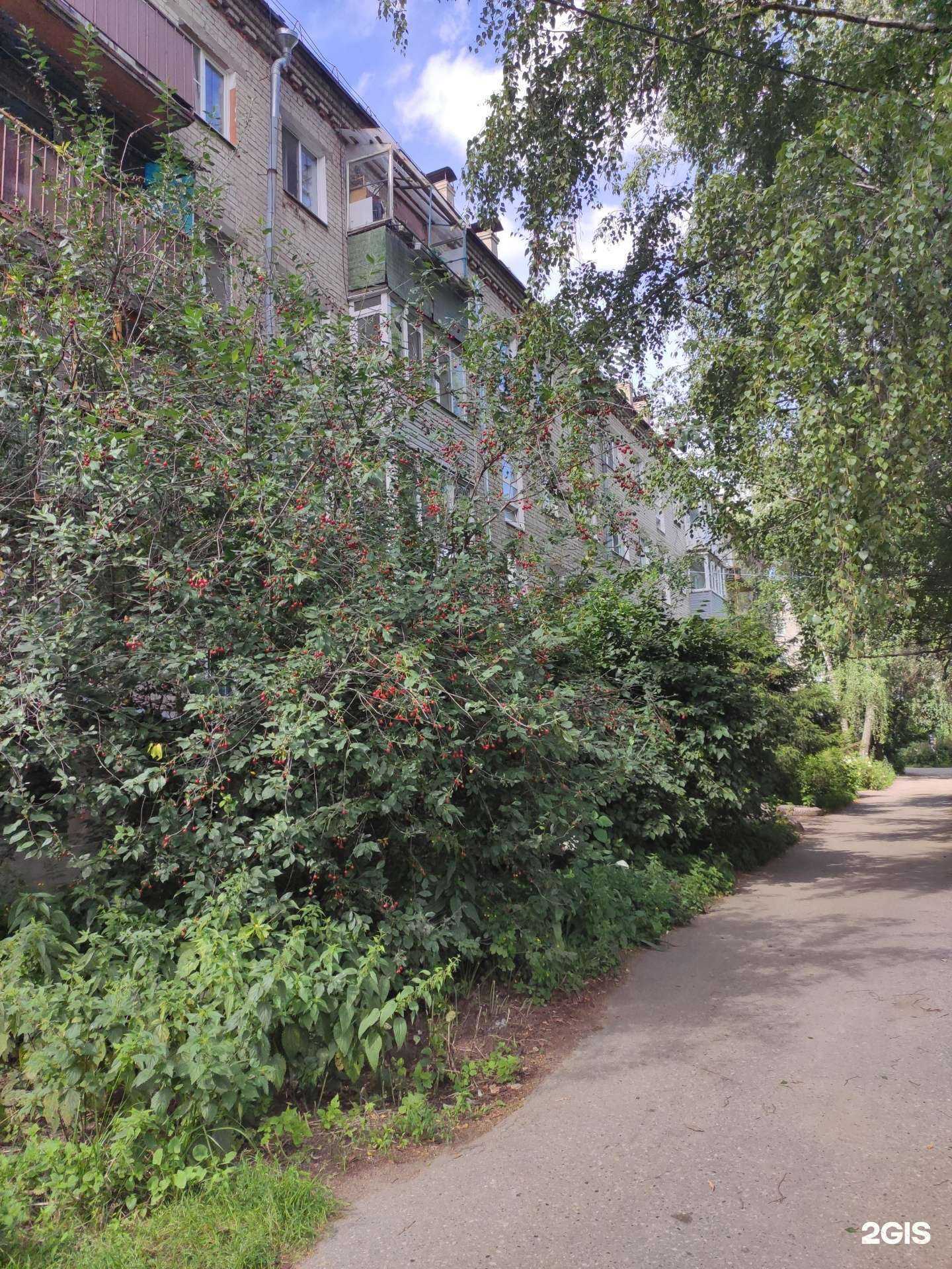 Отзывы на компанию Центр цветов в Боре c фото - фотография 2 из 2