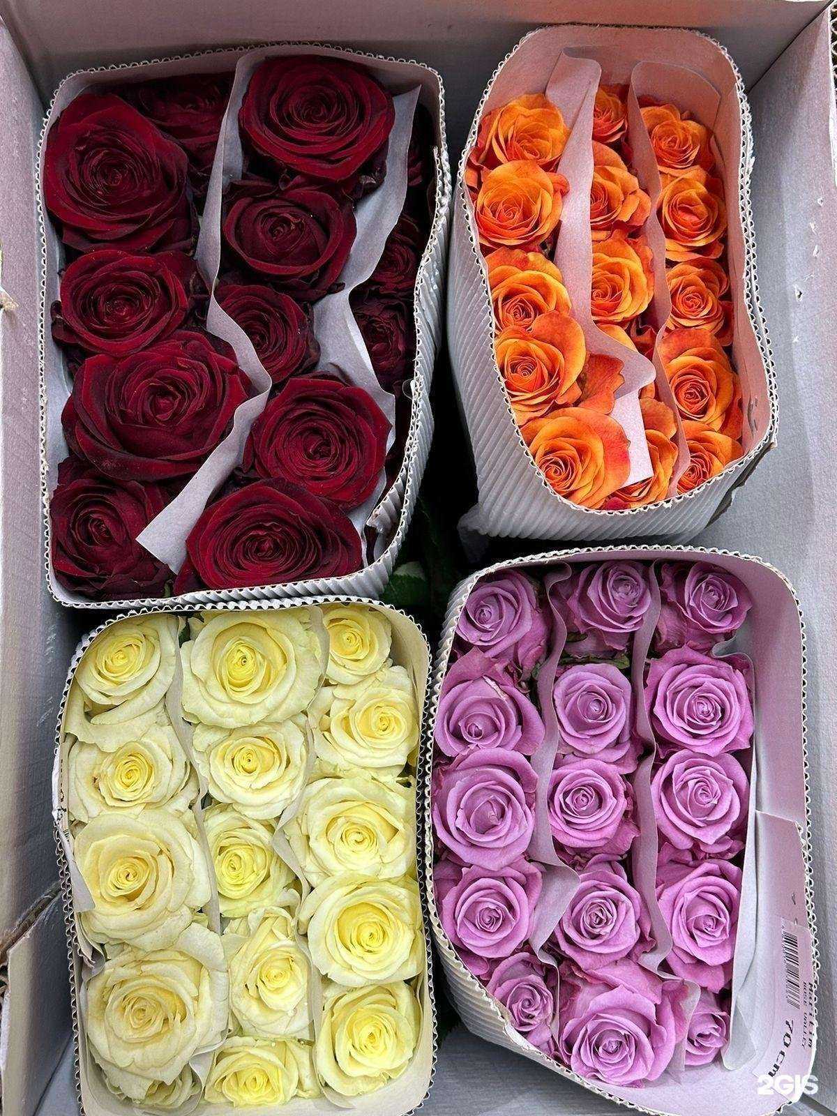 Отзывы на компанию 24 в Люберцах c фото