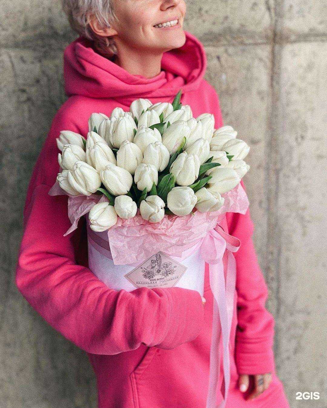 Отзывы на компанию Маленькая Голландия в Геленджике c фото