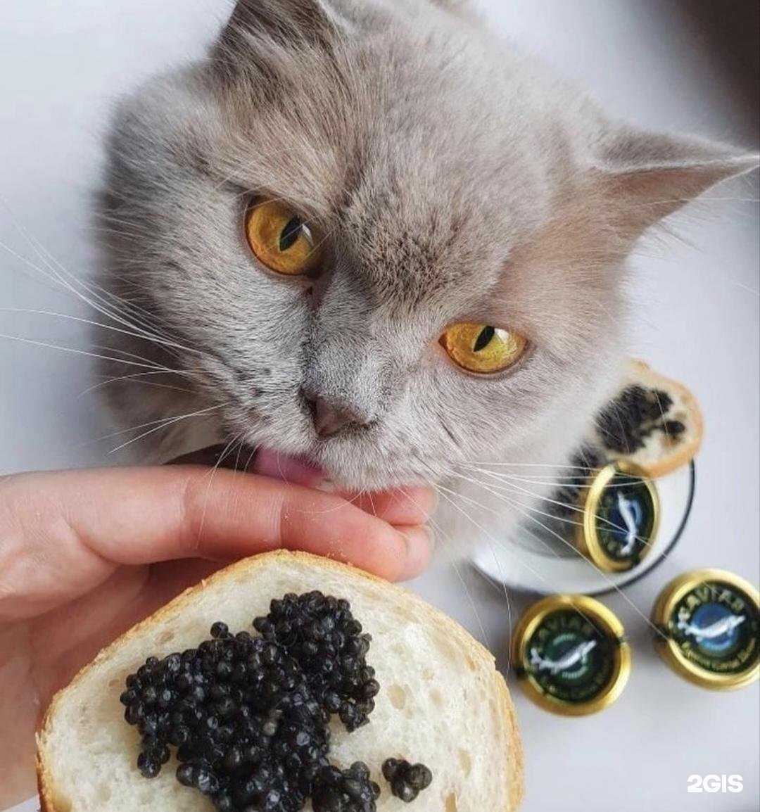 Отзывы на компанию Икра красная в г. Северск c фото