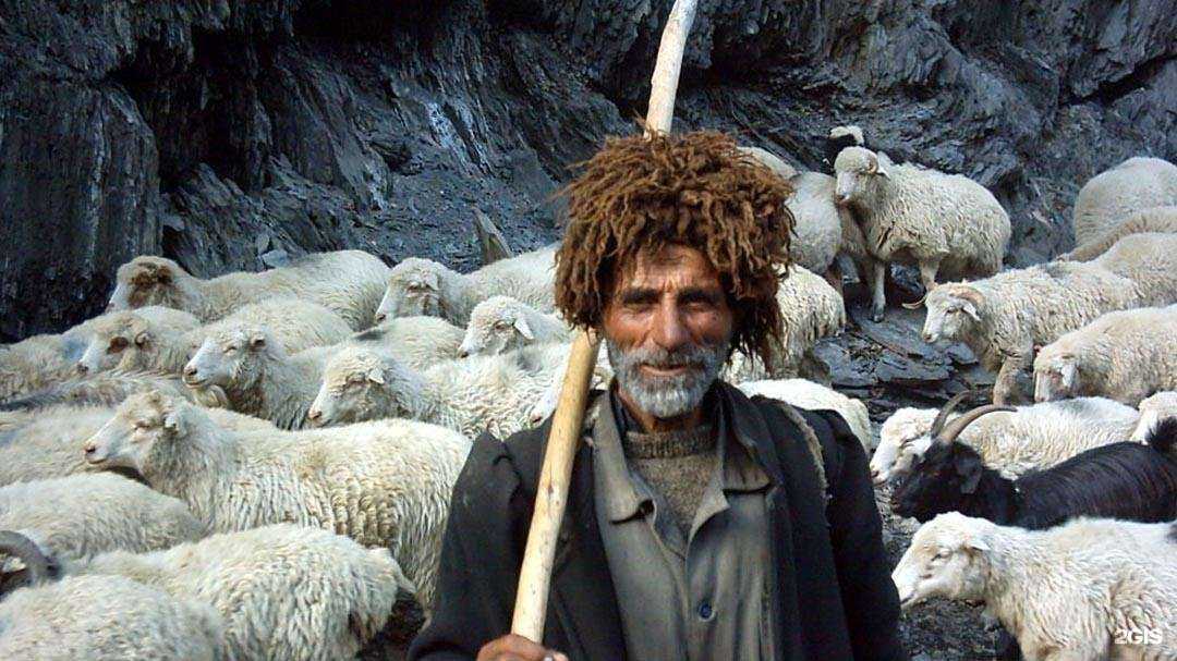 Отзывы на компанию Медикал Геномикс в Воронеже c фото