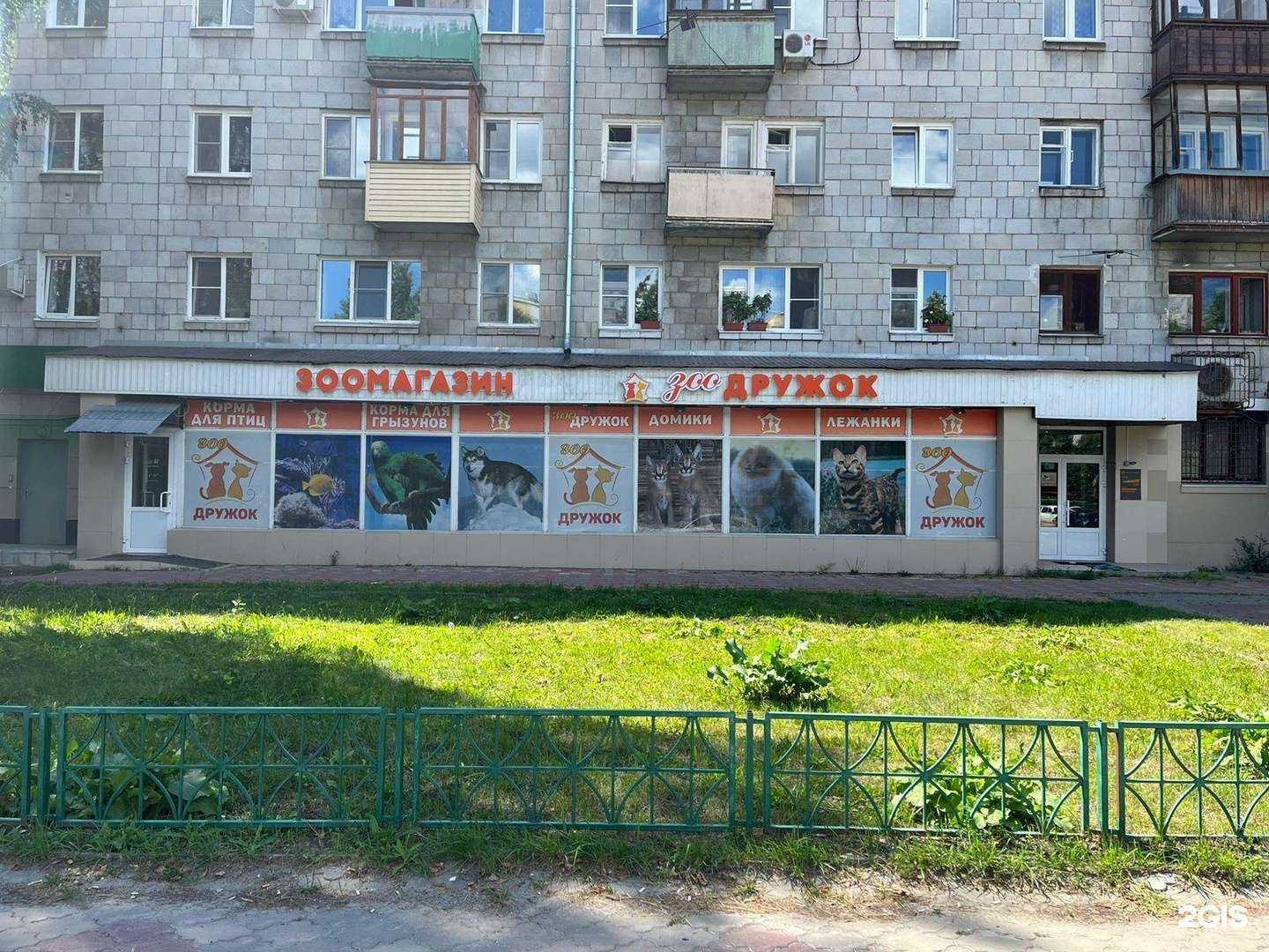 Отзывы на компанию ЗооДружок в г. Нижний Новгород c фото