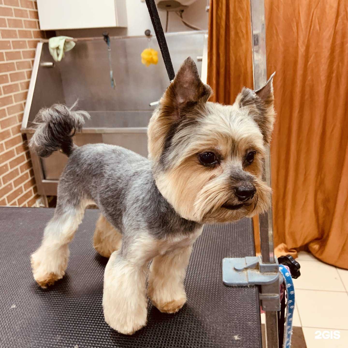 Отзывы на компанию Герми в г. Пушкино c фото