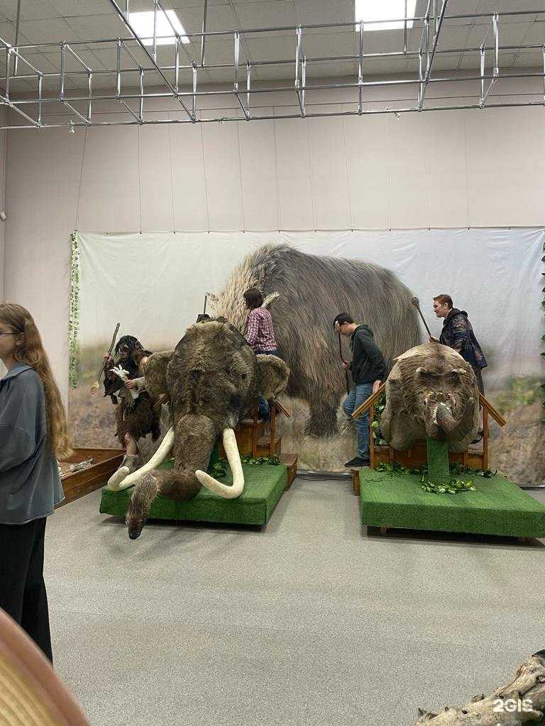 Отзывы на компанию Краевой комитет профсоюза работников автотранспорта и дорожного хозяйства РФ в Барнауле c фото