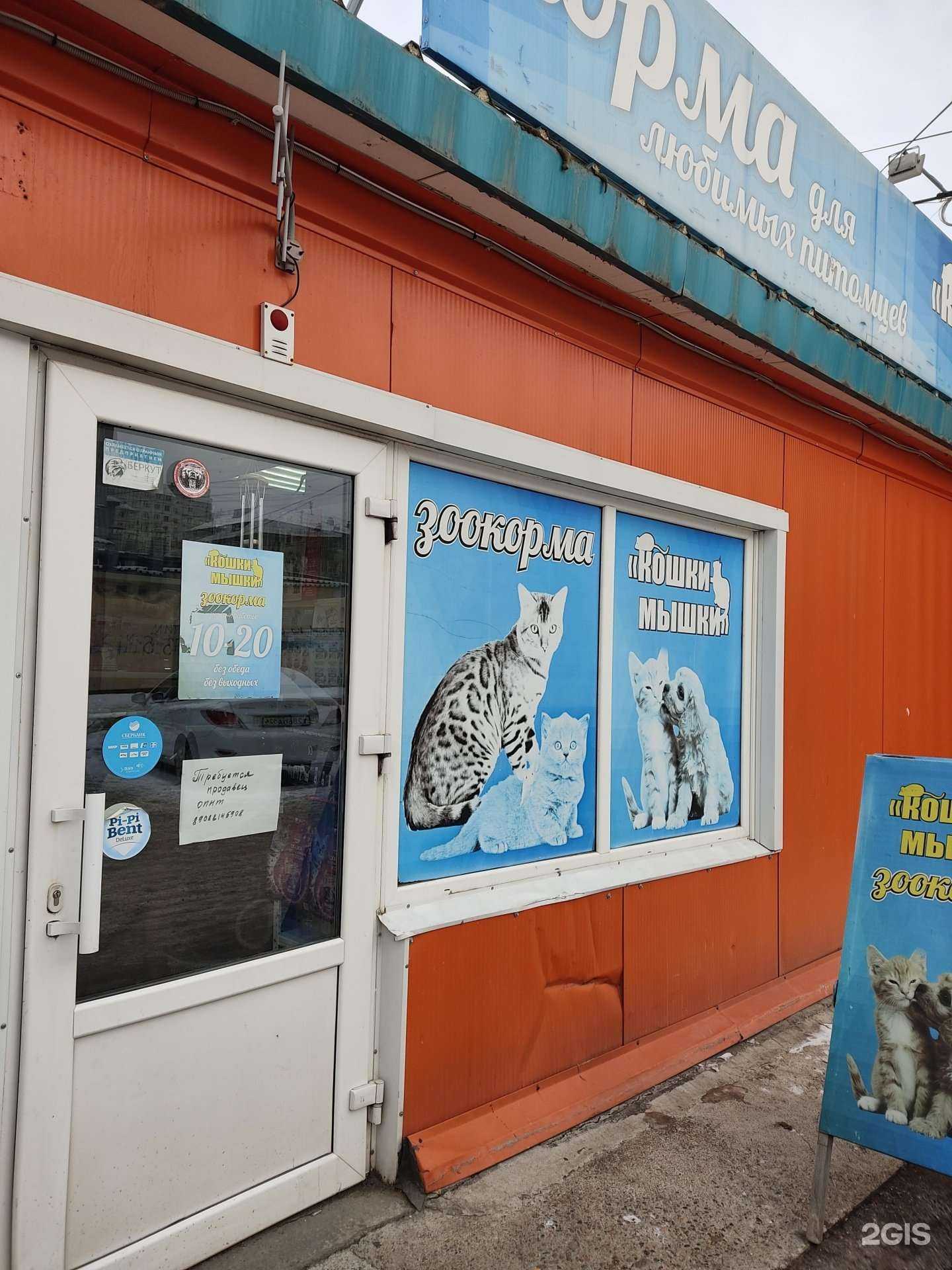 Отзывы на компанию Кошки-мышки в Красноярске c фото