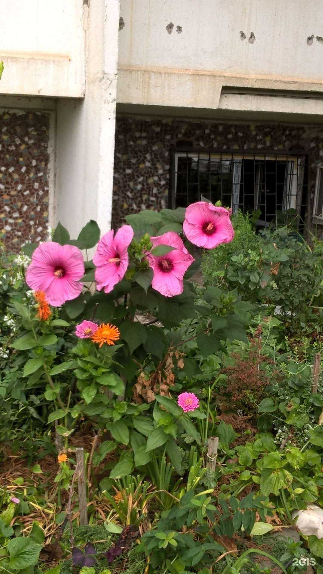 Отзывы на компанию Lady Barber в Краснодаре c фото - фотография 2 из 2