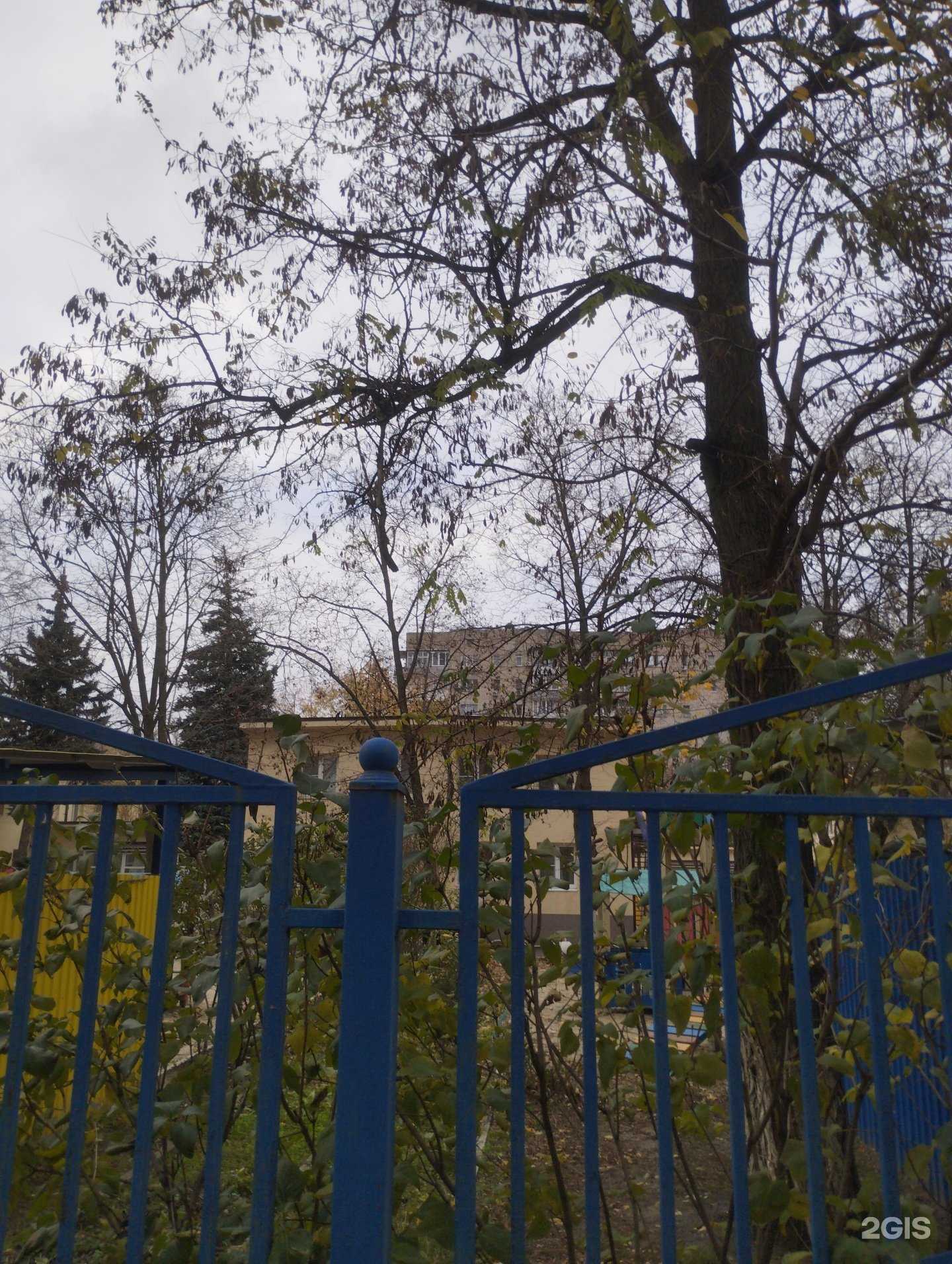 Отзывы на компанию Детский сад №74 в Ростове-на-Дону c фото