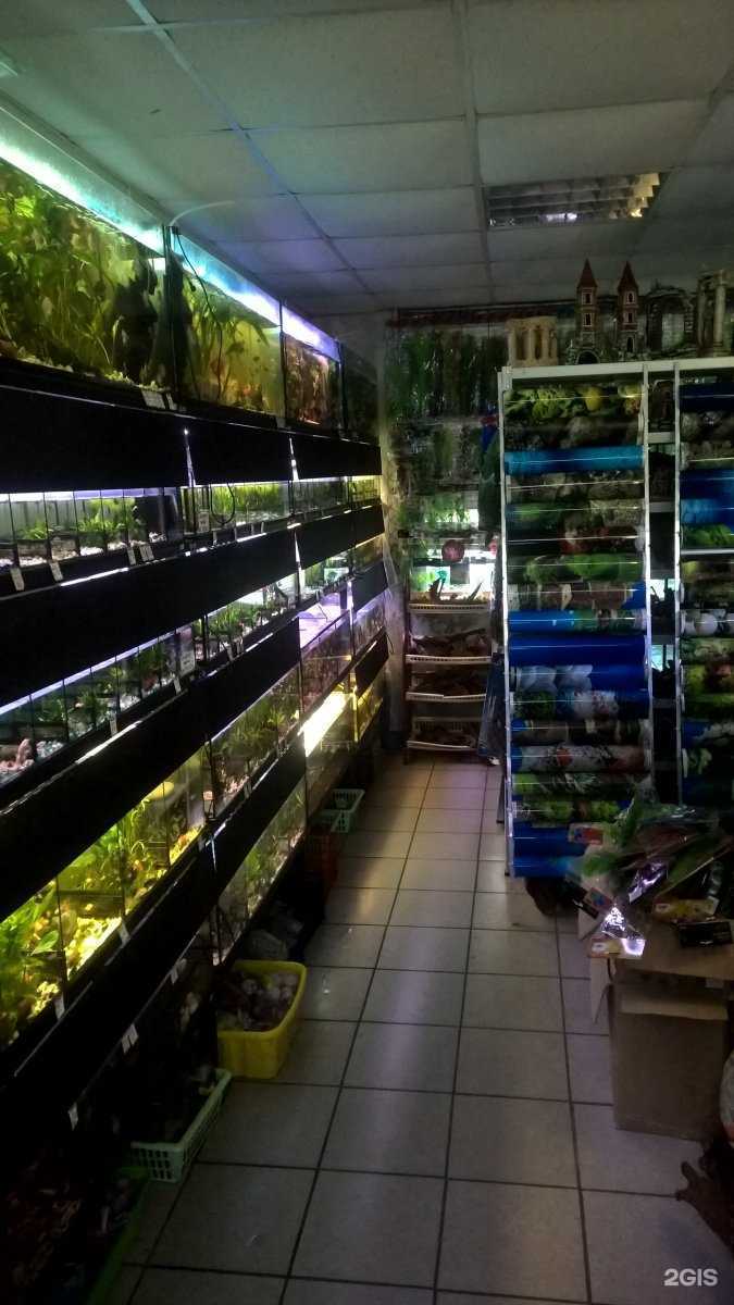 Отзывы на компанию Магазин аквариумов в Воронеже c фото