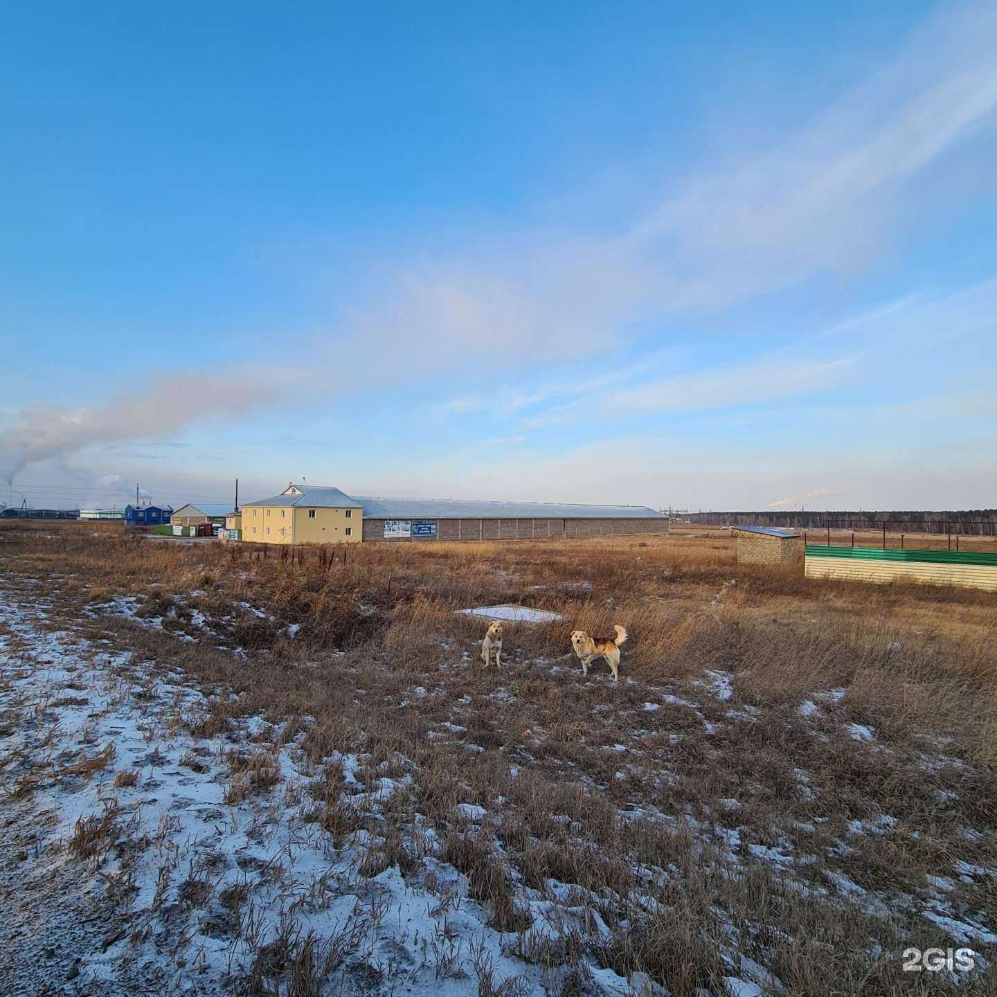 Отзывы на компанию Умный фермер в Красноярске c фото - фотография 2 из 2