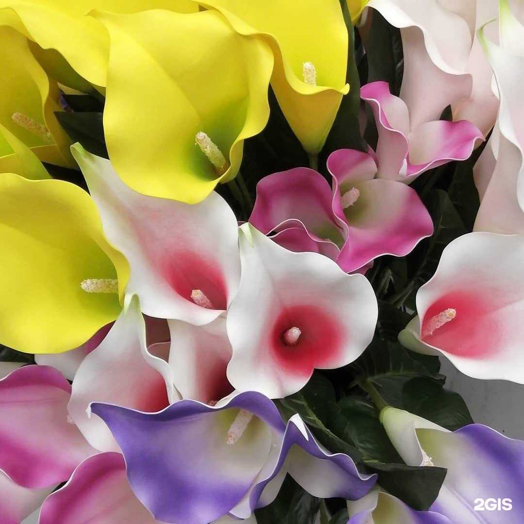 Отзывы на компанию Мемориал в Бердске c фото