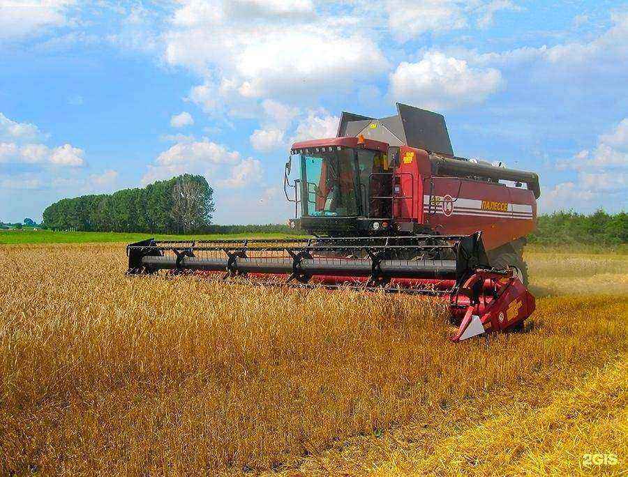 Отзывы на компанию Беларусъ в Калининграде c фото