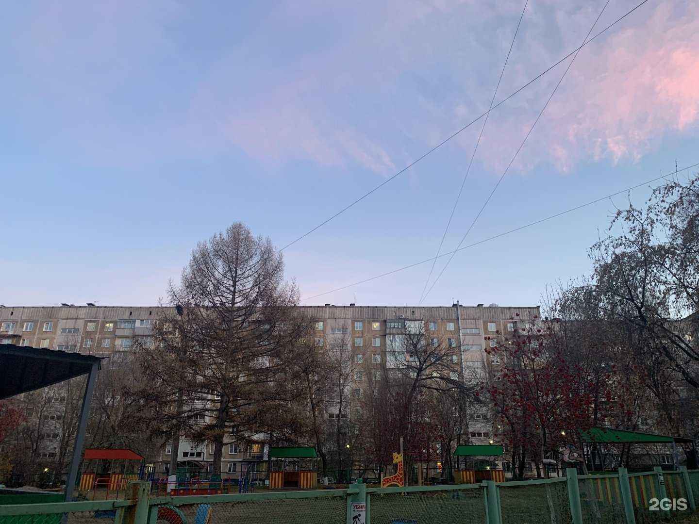 Отзывы на компанию Цветы и листья в Новокузнецке c фото - фотография 2 из 2