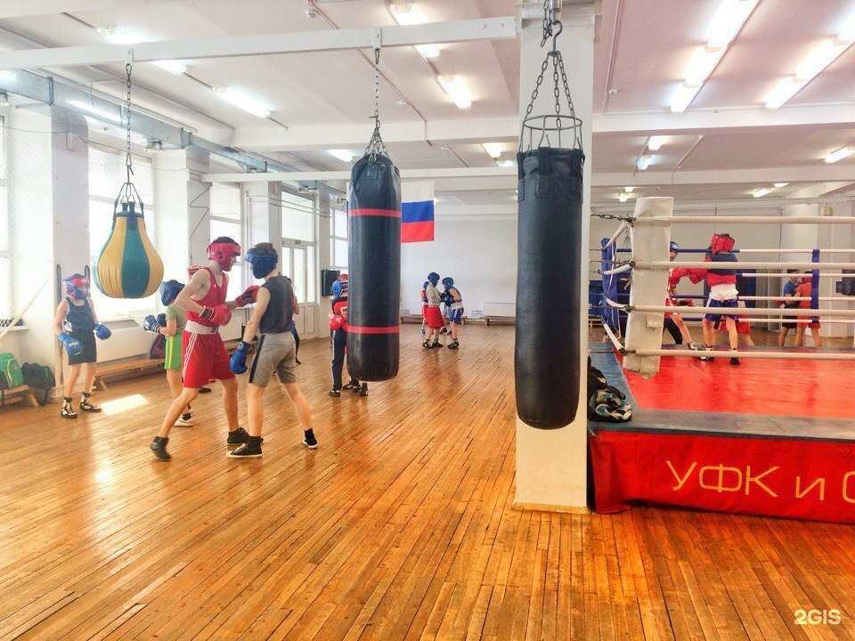Отзывы на компанию Мир бокса в Новосибирске c фото