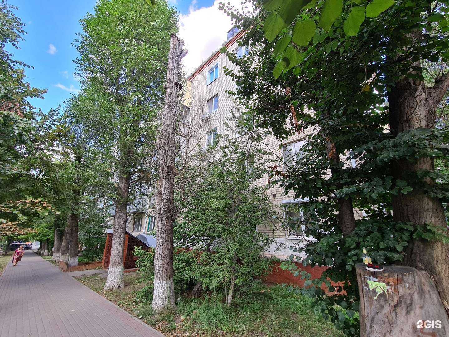 Отзывы на компанию Progy в Белгороде c фото - фотография 2 из 2