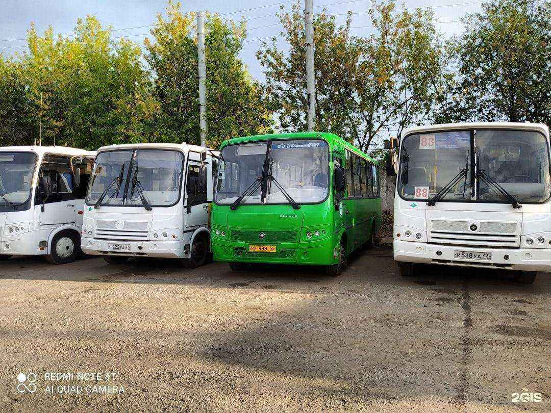 Отзывы на компанию Компания по спилу деревьев в Кирове c фото - фотография 2 из 2