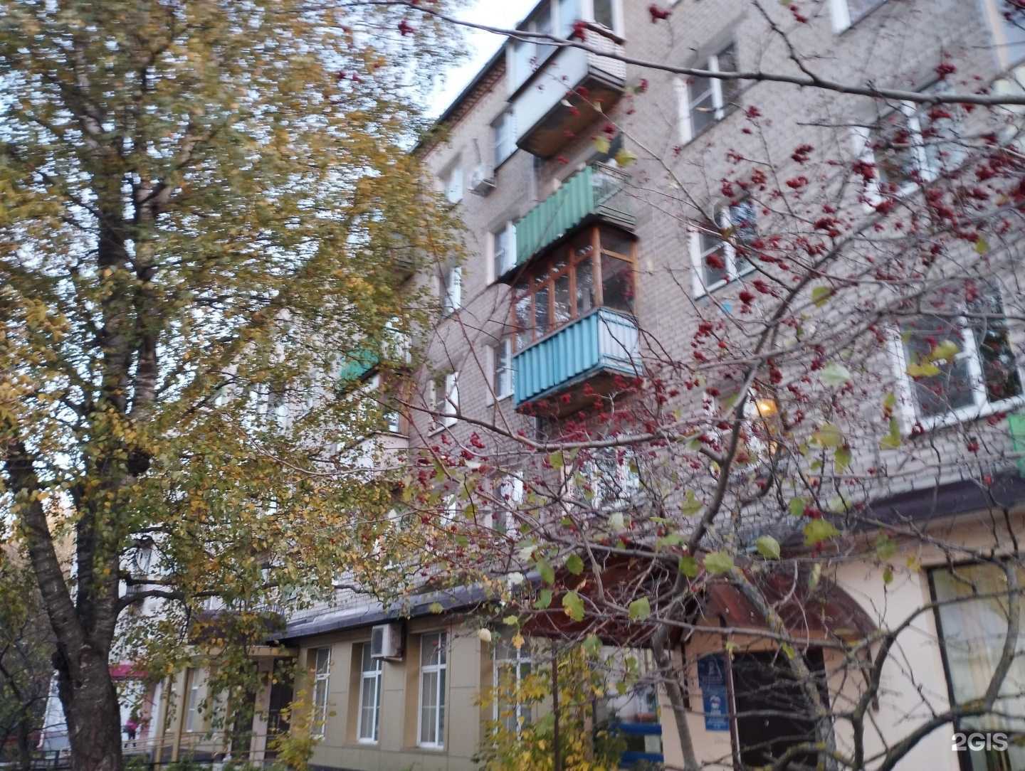 Отзывы на компанию Panda house в Боре c фото - фотография 2 из 2