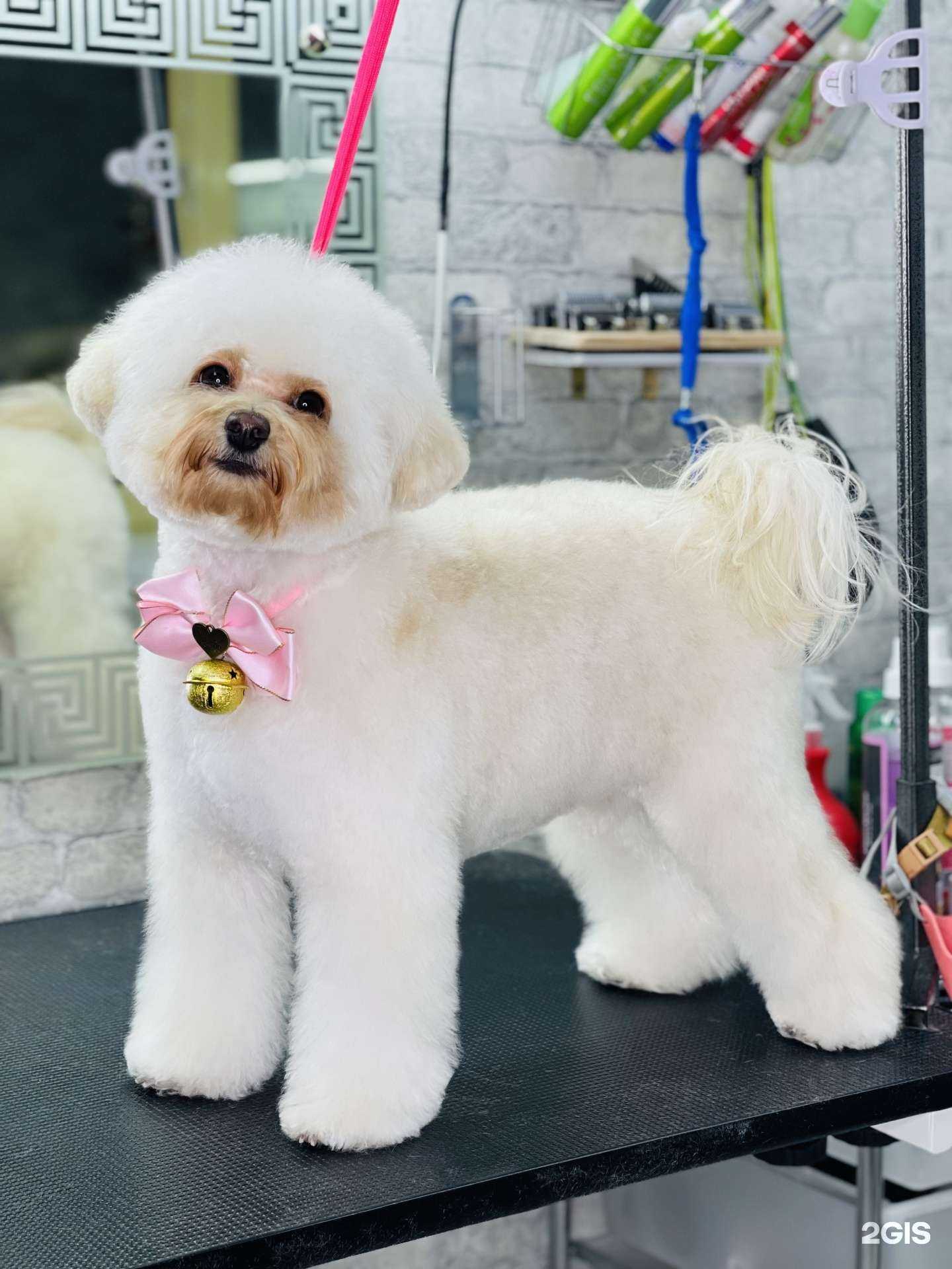 Отзывы на компанию York Style в Сургуте c фото