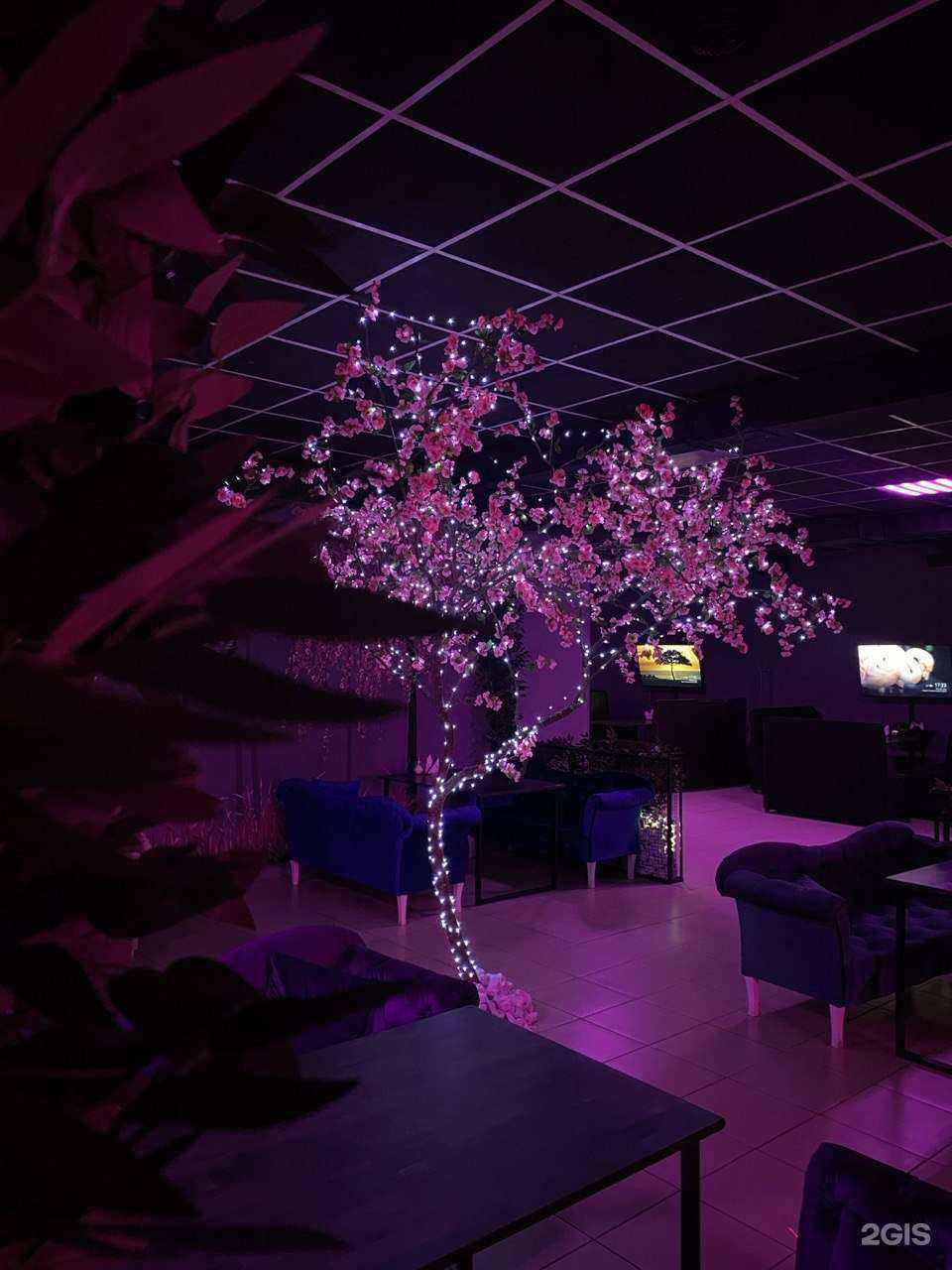 Отзывы на компанию Sakura в Йошкар-Оле c фото