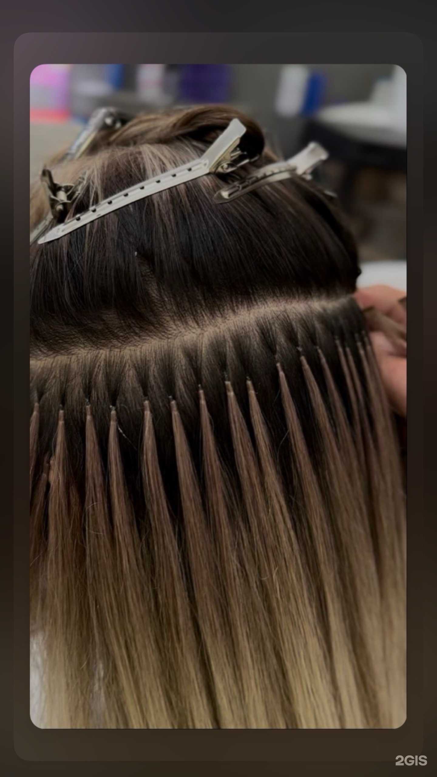 Отзывы на компанию Saga  в Петропавловске-Камчатском c фото