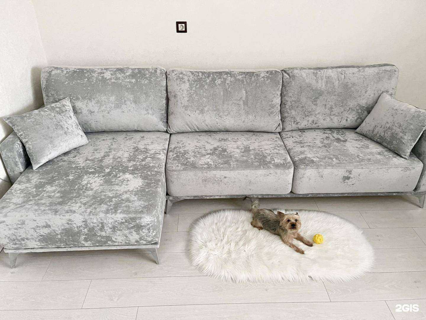 Отзывы на компанию Platinum в Воронеже c фото