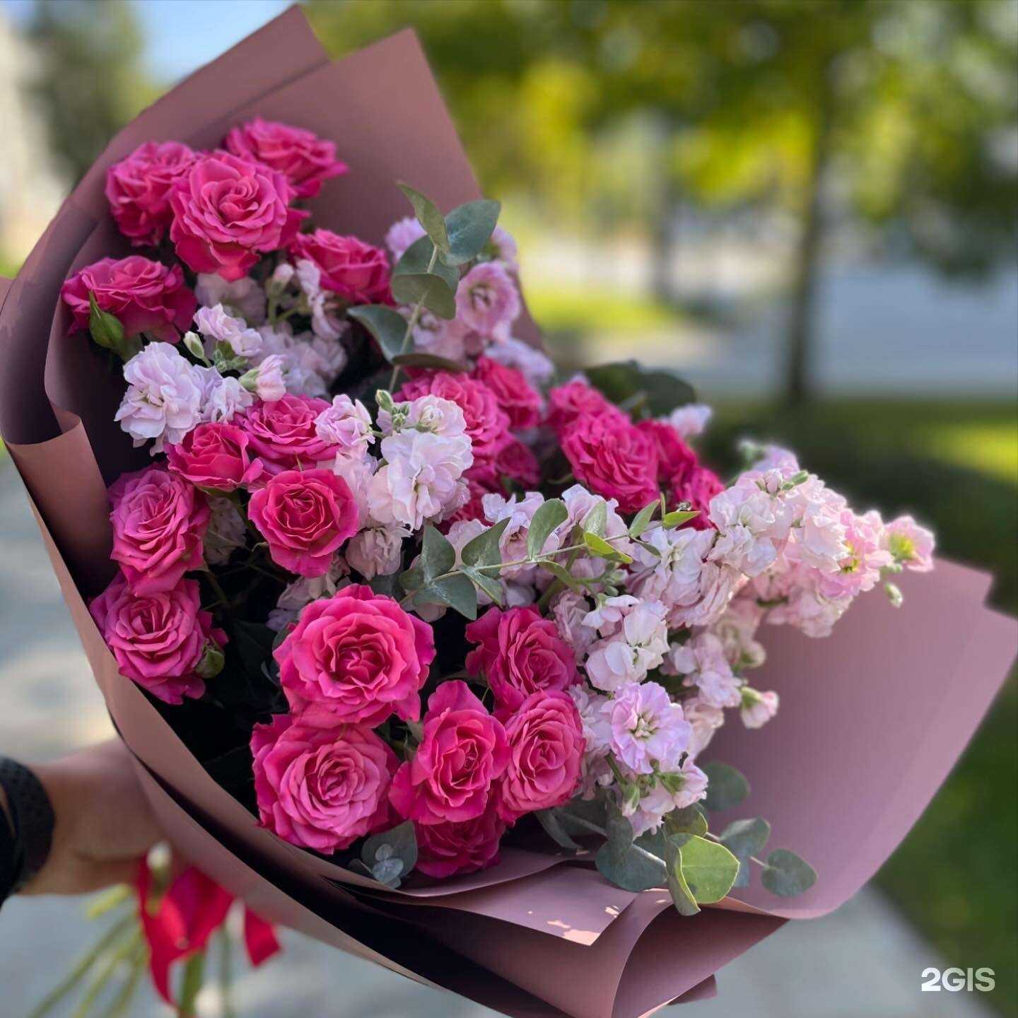 Отзывы на компанию Tubus в Южно-Сахалинске c фото