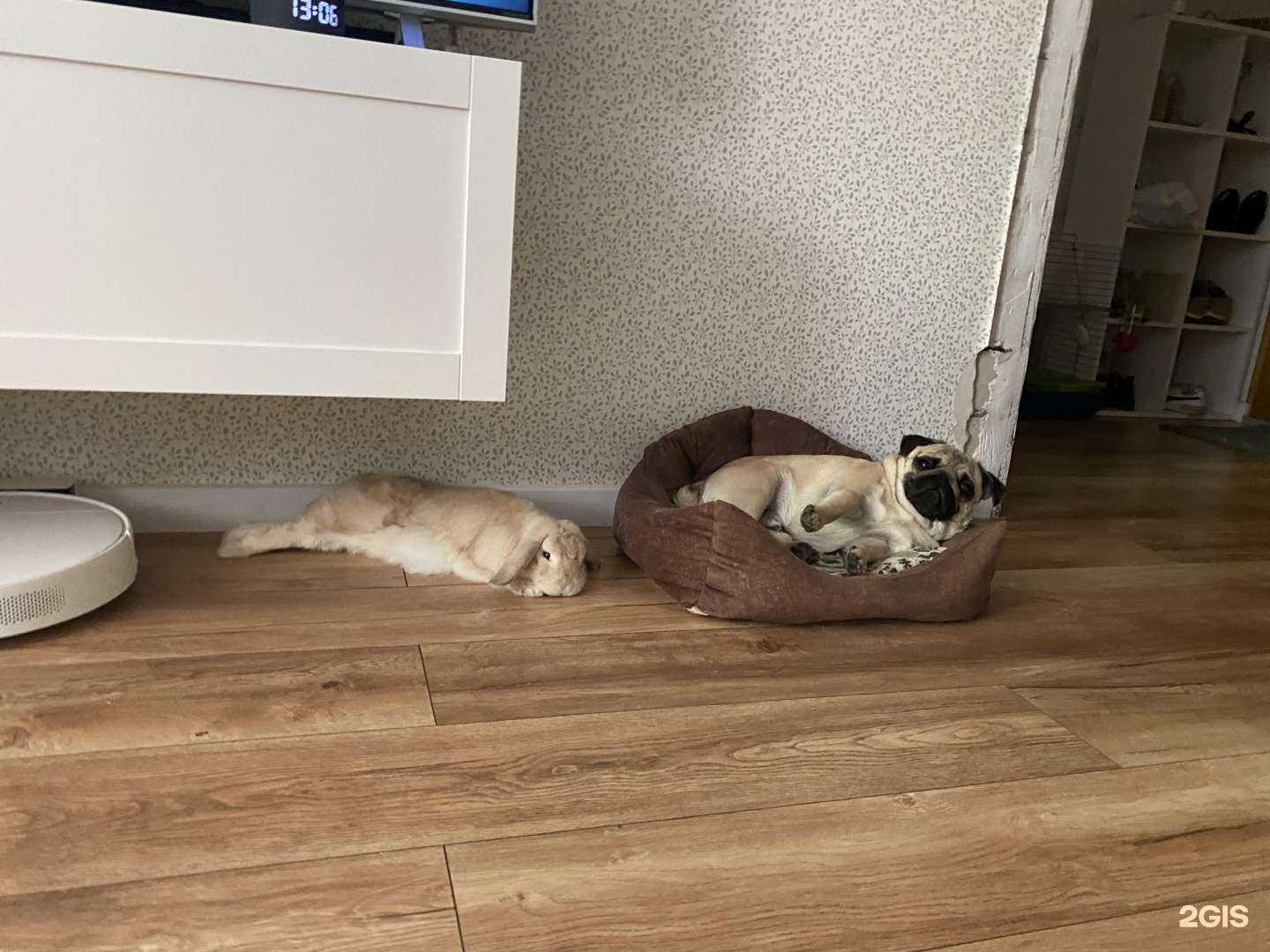 Отзывы на компанию ЗооОптТорг.РФ в г. Казань c фото