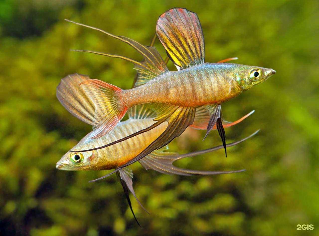 Отзывы на компанию Зверополис в г. Новосибирск c фото