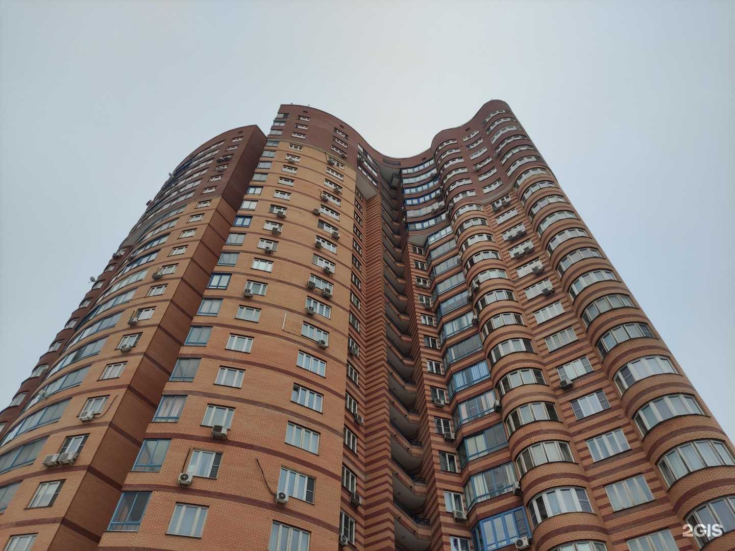 Отзывы на компанию Глиняный медведь в Химках c фото - фотография 2 из 2