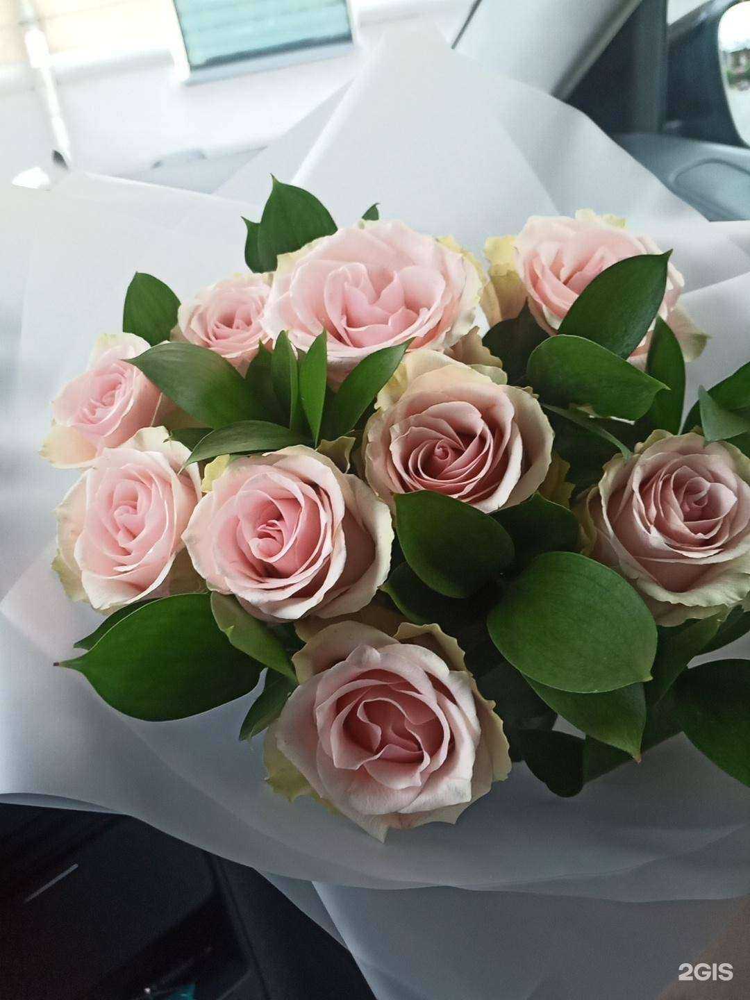 Отзывы на компанию Розовый сад в г. Екатеринбург c фото