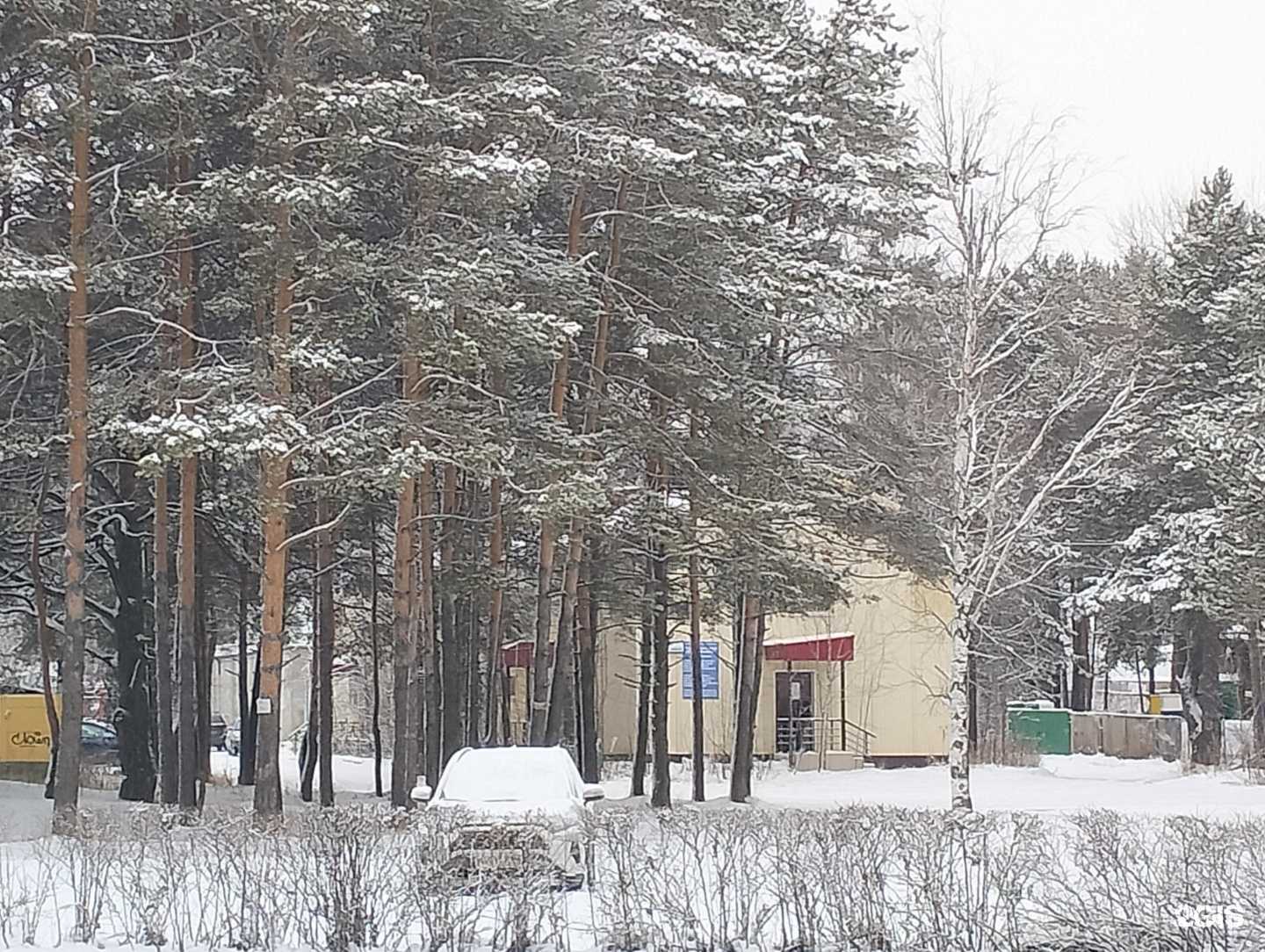 Отзывы на компанию Кабинет логопеда в г. Сургут c фото