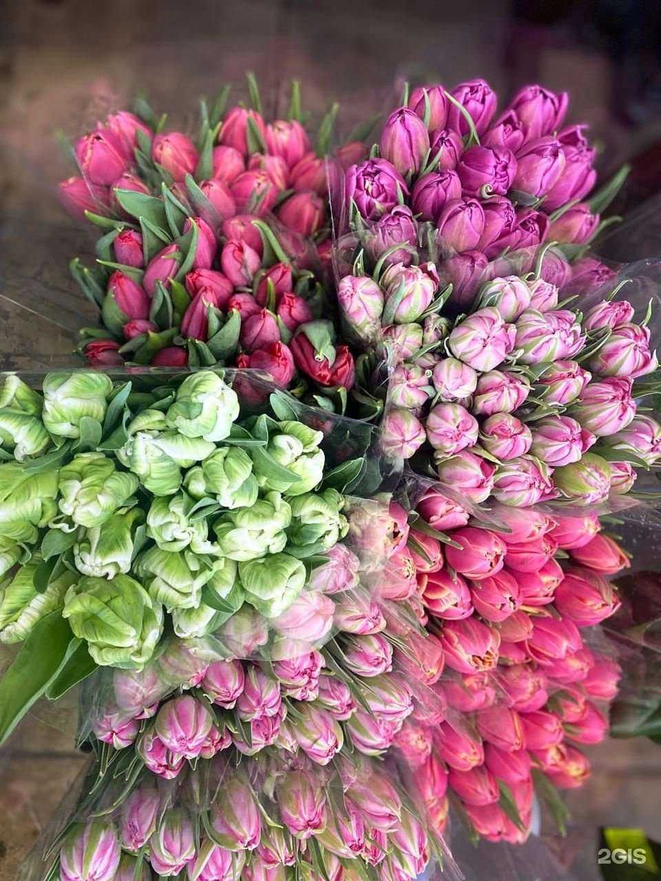 Отзывы на компанию Веранда в Барнауле c фото