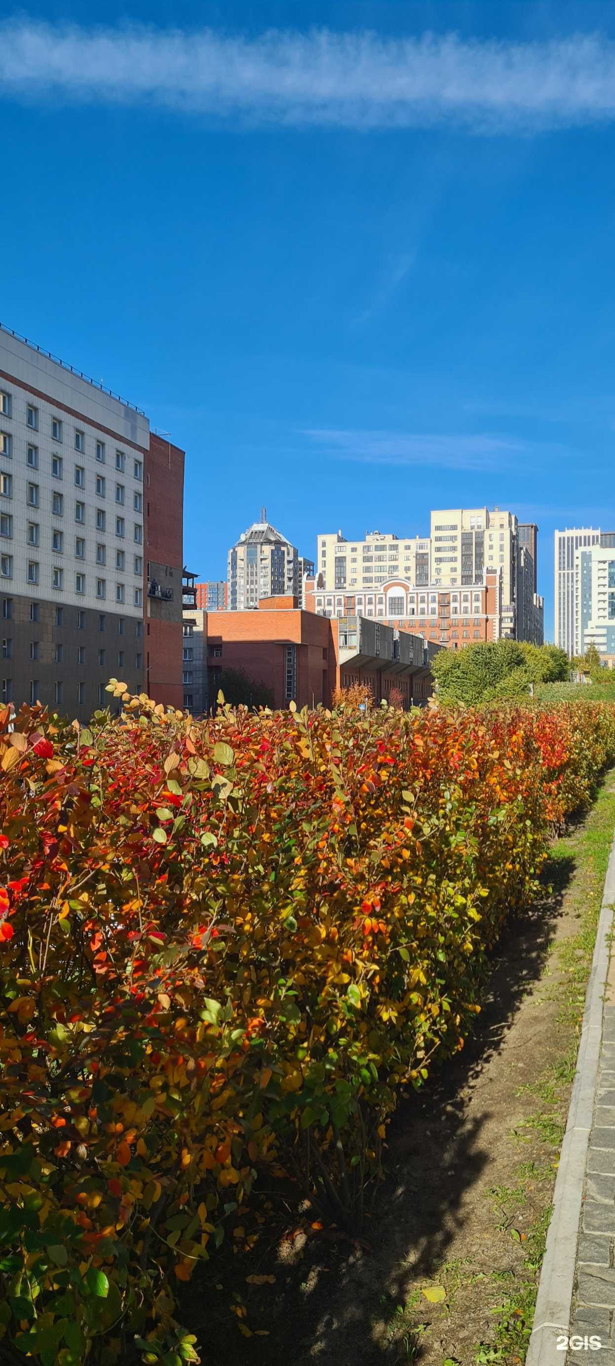 Отзывы на компанию Stom supply в Новосибирске c фото - фотография 2 из 2